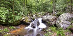 smith creek